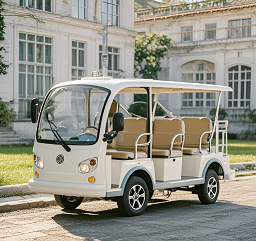 燃油觀光車 燃油觀光車