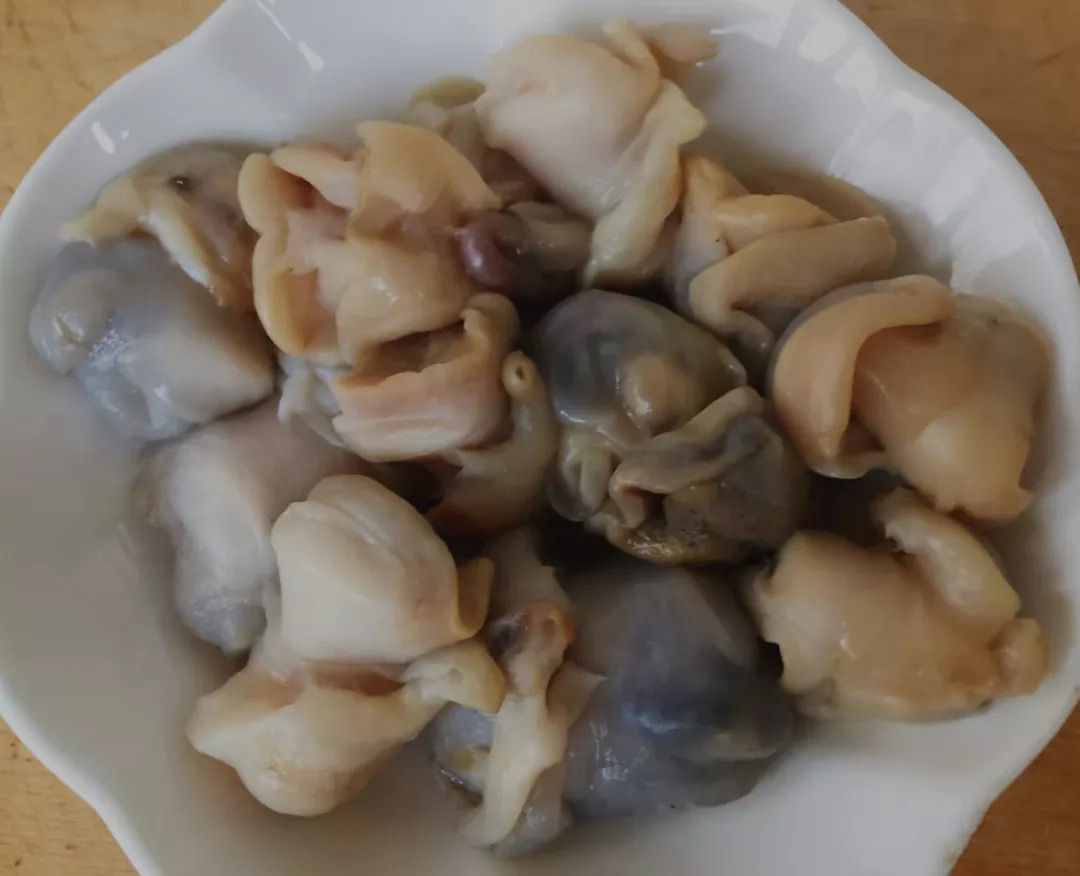 【蔥爆海螺片】做法|味道鮮美,營養充足,快試試動手制作吧